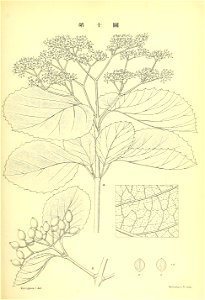 n154_w1150