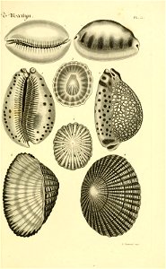 n52_w1150