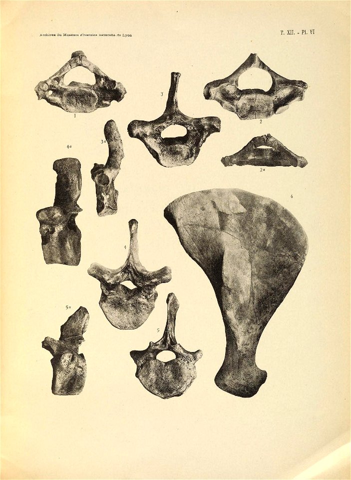 n342_w1150