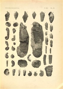 n198_w1150