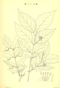 n262_w1150
