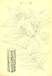 n202_w1150