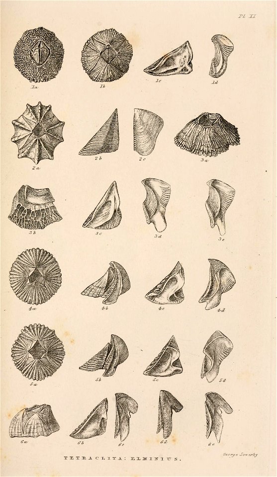 n688_w1150