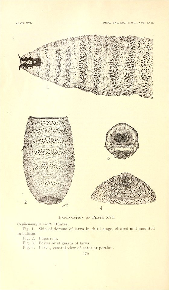 n197_w1150