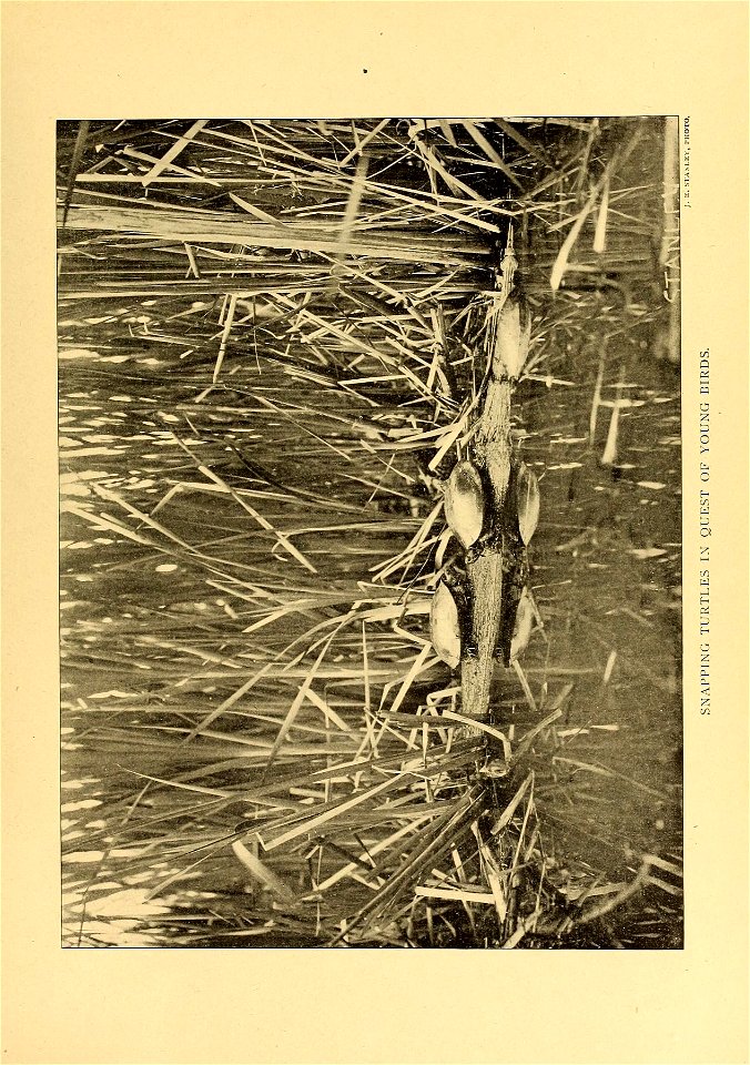 n564_w1150