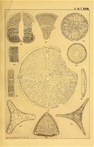 n118_w1150
