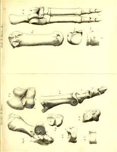 n132_w1150
