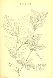 n226_w1150