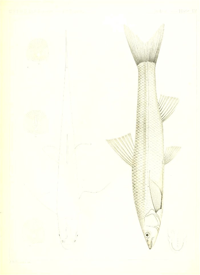 n624_w1150