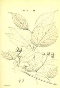 n166_w1150