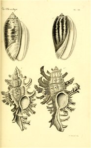 n118_w1150