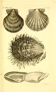 n148_w1150