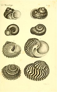 n58_w1150