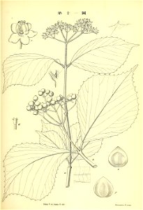 n158_w1150