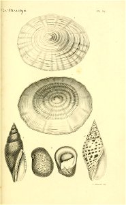 n114_w1150
