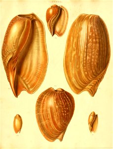 n16_w1150