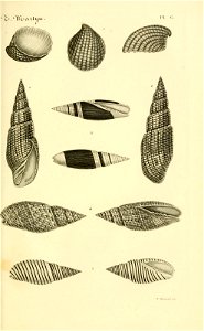 n54_w1150