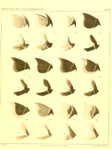 n214_w1150