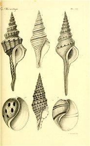 n106_w1150
