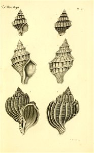 n46_w1150