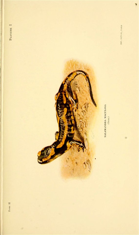 n102_w1150
