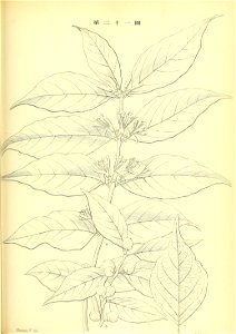 n198_w1150