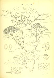 n138_w1150
