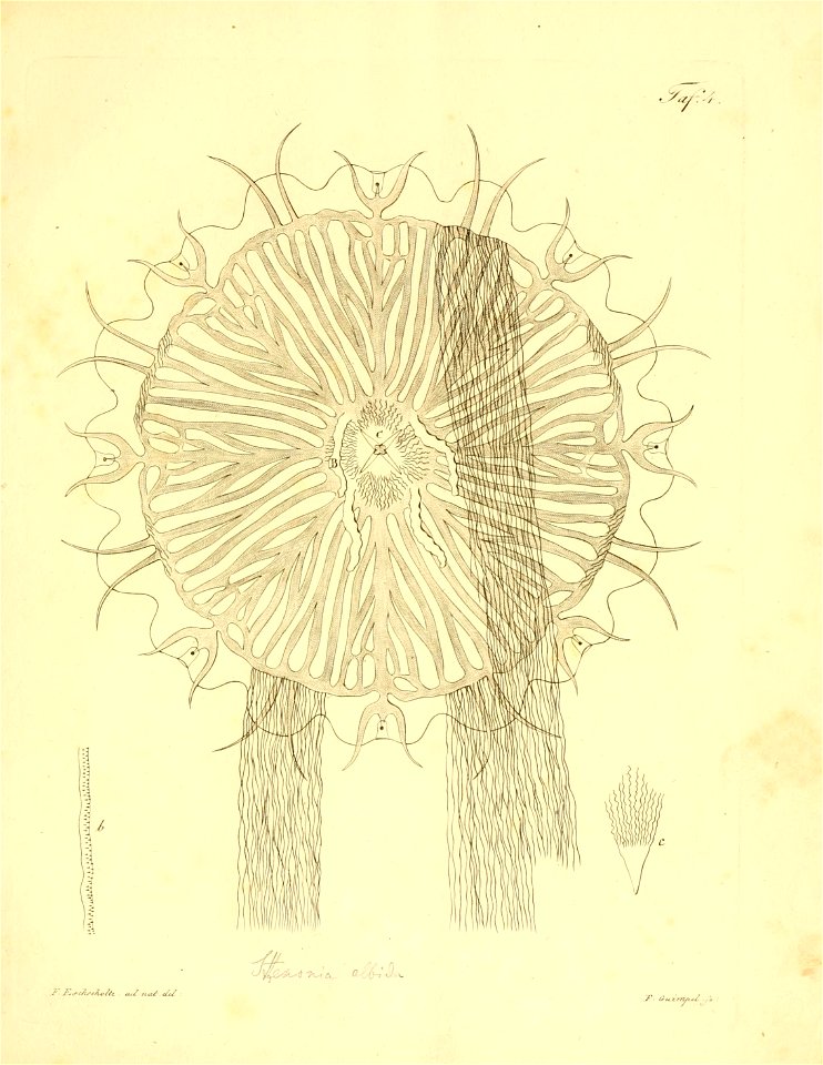 n206_w1150