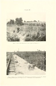 n260_w1150