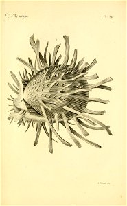n150_w1150