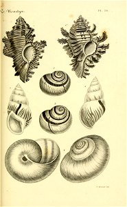 n120_w1150