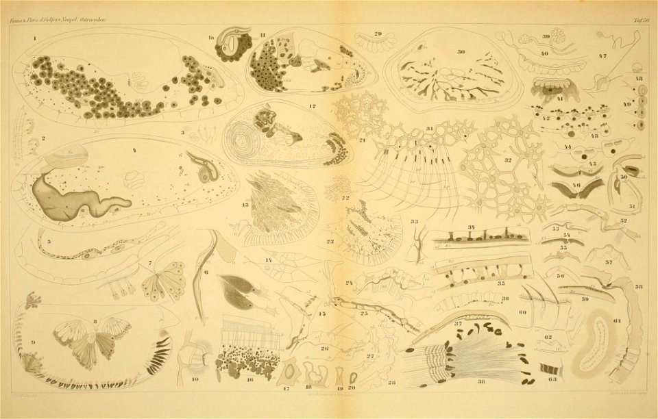 n562_w1150