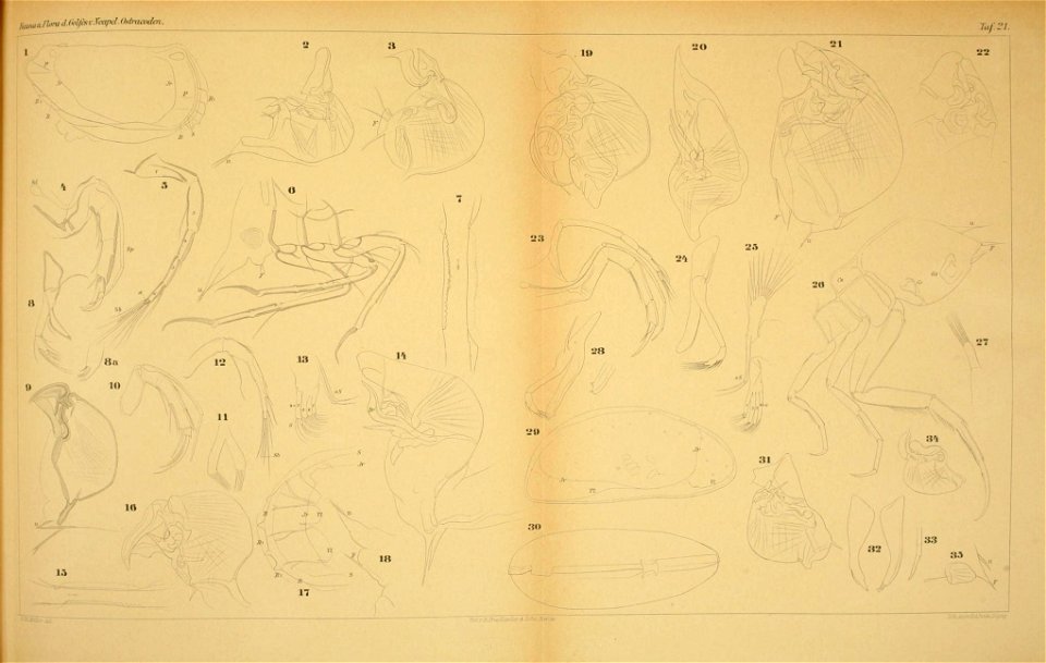 n502_w1150