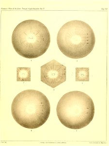 n288_w1150