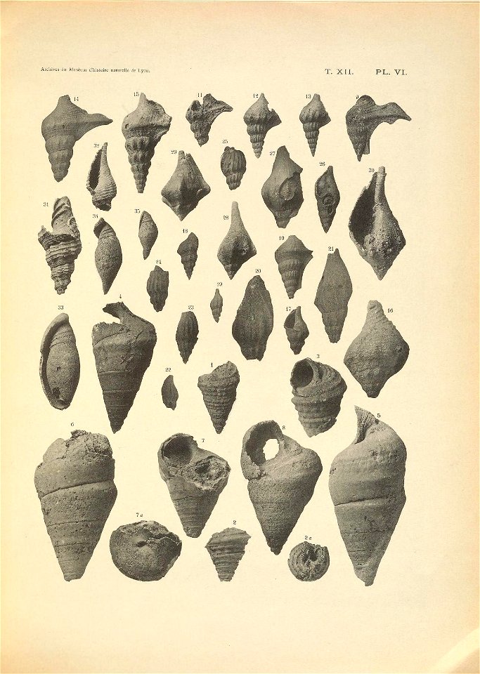 n206_w1150