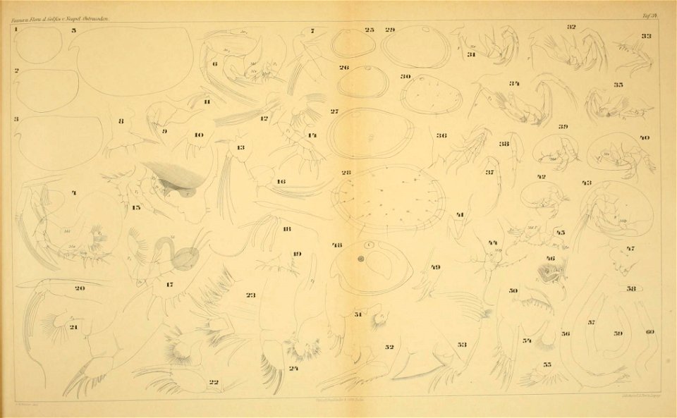 n554_w1150