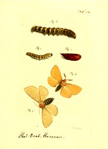 n172_w1150