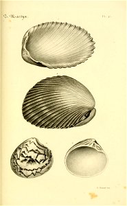 n134_w1150