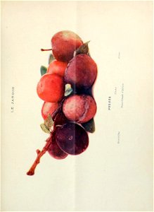 n216_w1150