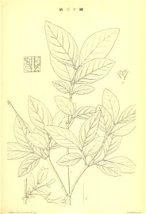 n234_w1150