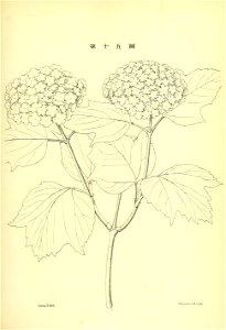 n174_w1150