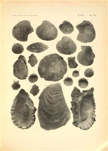 n218_w1150