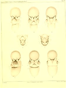 n352_w1150