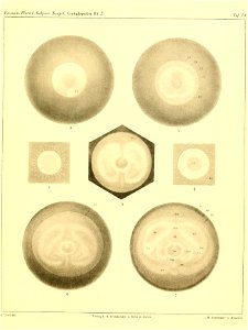 n292_w1150