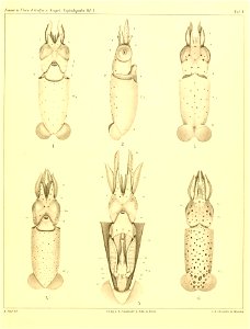 n162_w1150