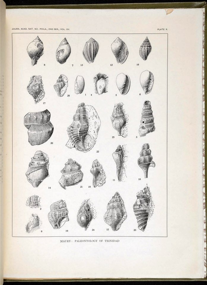 n118_w1150