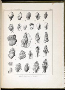 n118_w1150