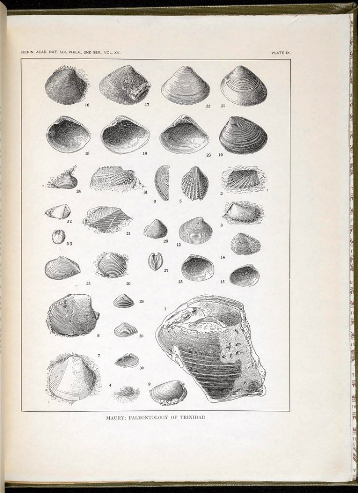 n114_w1150