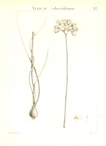 n176_w1150