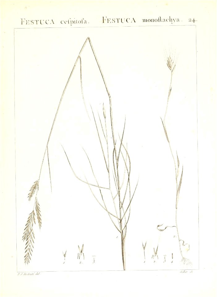n56_w1150